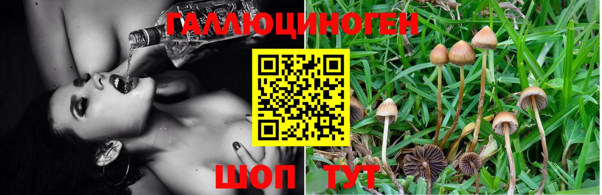 Галлюциногенные грибы мицелий  Вход с VPN  Фролово 